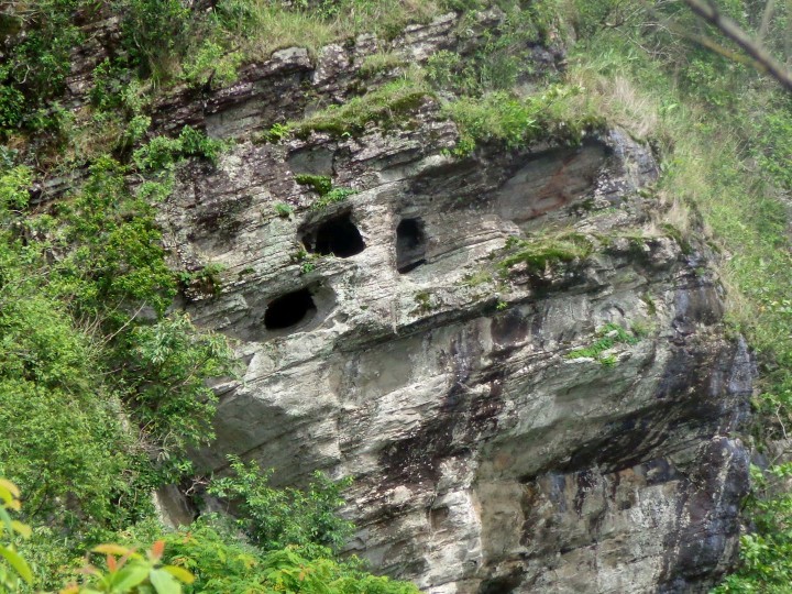 Mongzü ki