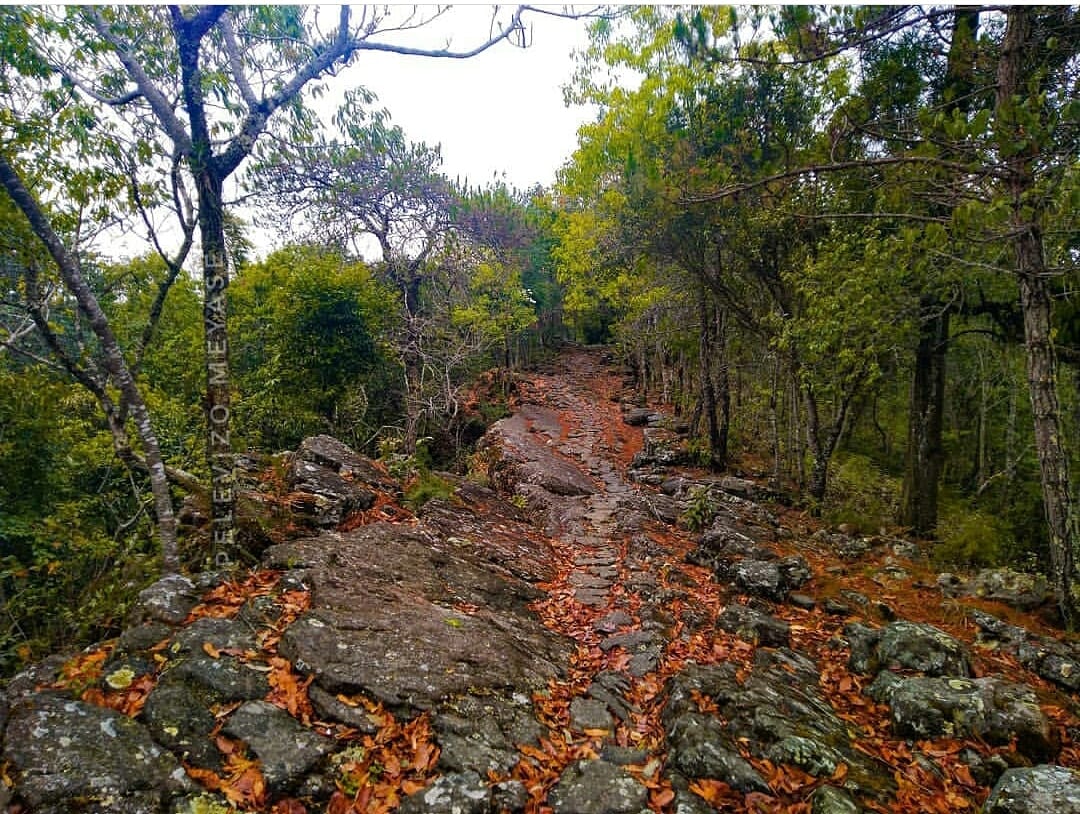 Longlangba stone formation in Longkhum