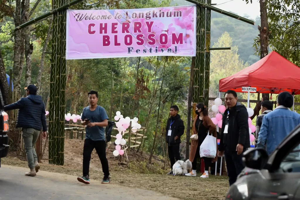 This is the Welcome gate at the Longkhum Cherry blossom festival