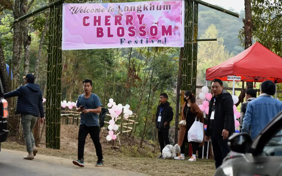 Guide to Longkhum Cherry Blossom Festival 2.0