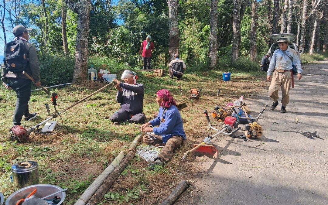 Longkhum Cherry Blossom Festival 2.0 Preparation Underway